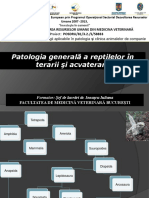 Patologie Generala A Reptilelor in Terarii Si Acvarii