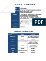 6- Tabela células eucarióticas