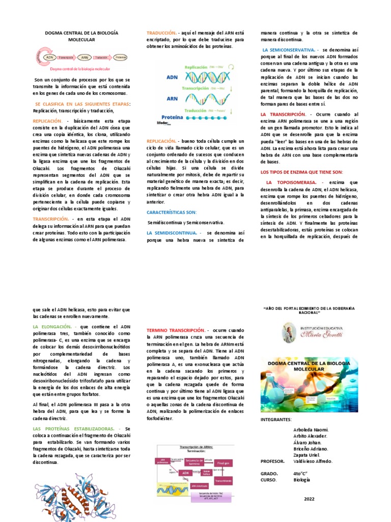Dogma Central de La Biología Molecular | PDF | Replicación De Adn | Adn