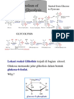 Metabolisme Karbohidrat, Glikolisis