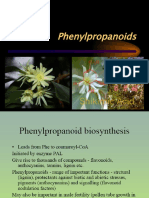 386955_Phenylpropanoids1