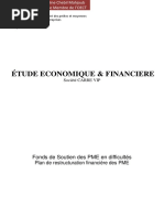 Diagnostic économique et financière définitive pour   BFPME (Récupéré)