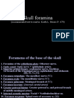 Skull foramina nerves and vessels
