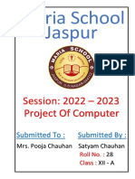 Computer Project Satyam