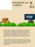 Clasificación de Las Plantas Diapositivas PDF