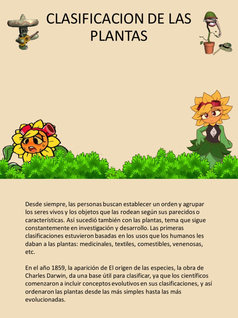 Clasificación de Las Plantas Diapositivas PDF PDF Plantas Helecho