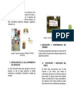 Adecuación Y Conformación DEL Terreno: Imagen 7. Valla Informativa Municipio de Oiba