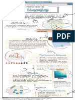 Infografia de Estructura Terminada