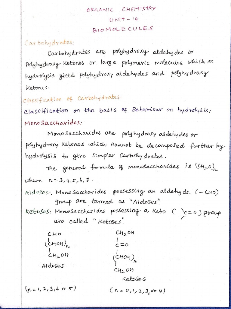 Unit 14 Biomolecules PDF
