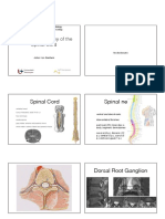 40231-Functional Anatomy of The Spinal Cord - Dr. Van Goethem