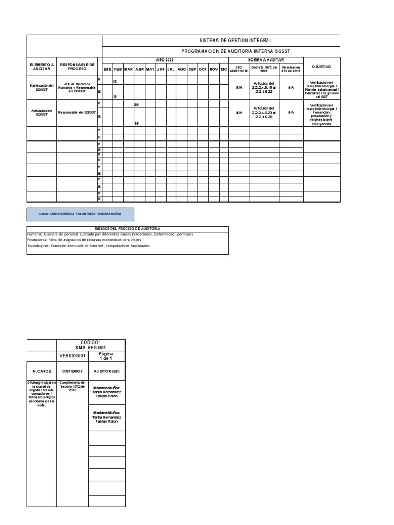 Programa de Auditoria Interna 2023 | PDF | Auditoría | Informática