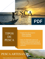 Pesca