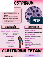 Clostridium 1