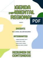 Agenda Ambiental Regional - LL