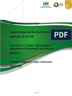 Act 2.1 Sanchez Ramirez Cuadro Definiciones Y Ejemplos de La Percepcion Psicomotora