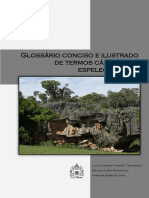 Glossario Ilustrado - Travassos Et Al PDF