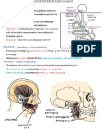 PHAR1433 Anatomy & Physiology I
