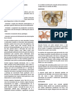 AULA 01 - Sinusites Odontogênicas