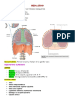 Mediastino
