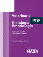Aparato urinario veterinaria histologia