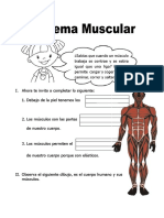Ficha de Sistema Muscular para Primaria
