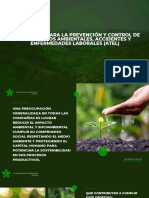 Estrategias para La Prevención y Control de Los Impactos Ambientales, Accidentes y Enfermedades Laborales (ATEL) - Pablo Daniel Infante Pimiento