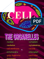 4 Organelles of The Cell