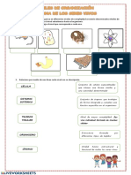 Organización. Partiendo Desde El Nivel Subatómico Hasta El Organismo