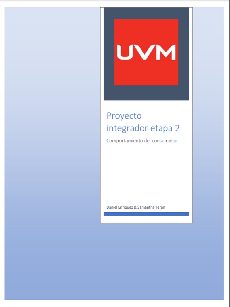 Proyecto Integrador Etapa 2 | PDF