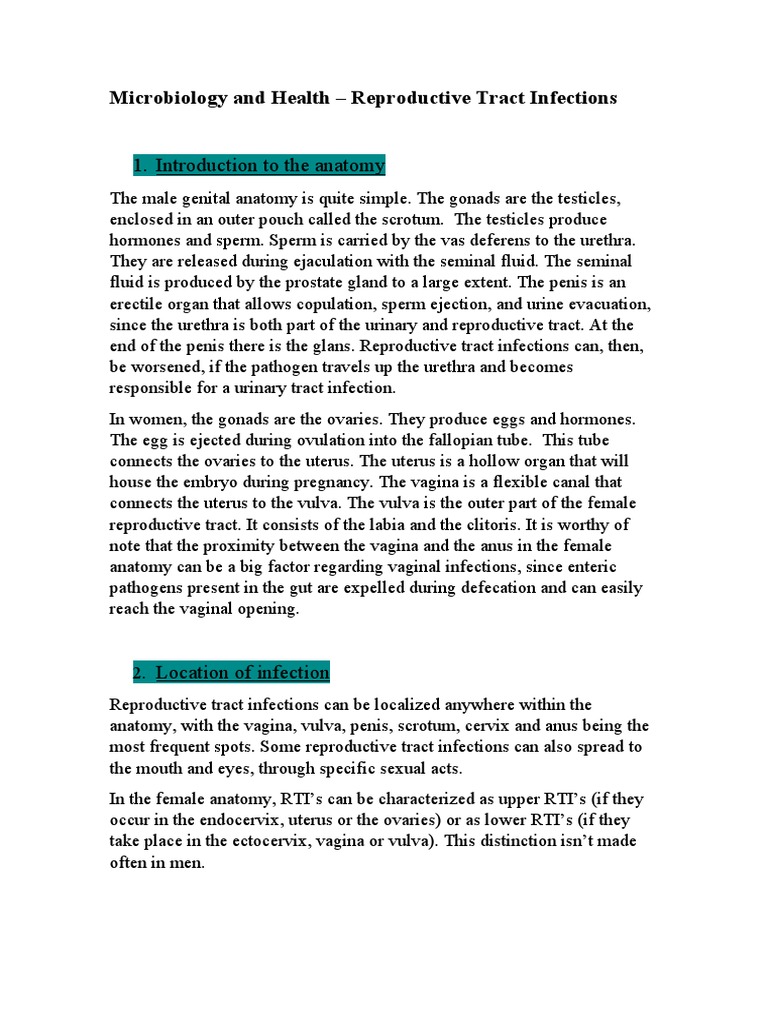 Understanding Reproductive Infections | PDF | Sexually Transmitted ...