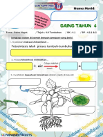 Sains Tahun 4: Fotosintesis Ialah Proses Tumbuh-Tumbuhan