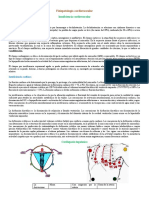 Apuntes Sobre Fisiopatología Cardiovascular