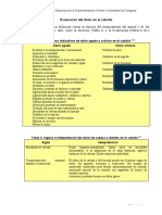 Evaluación Dolor en Caballo