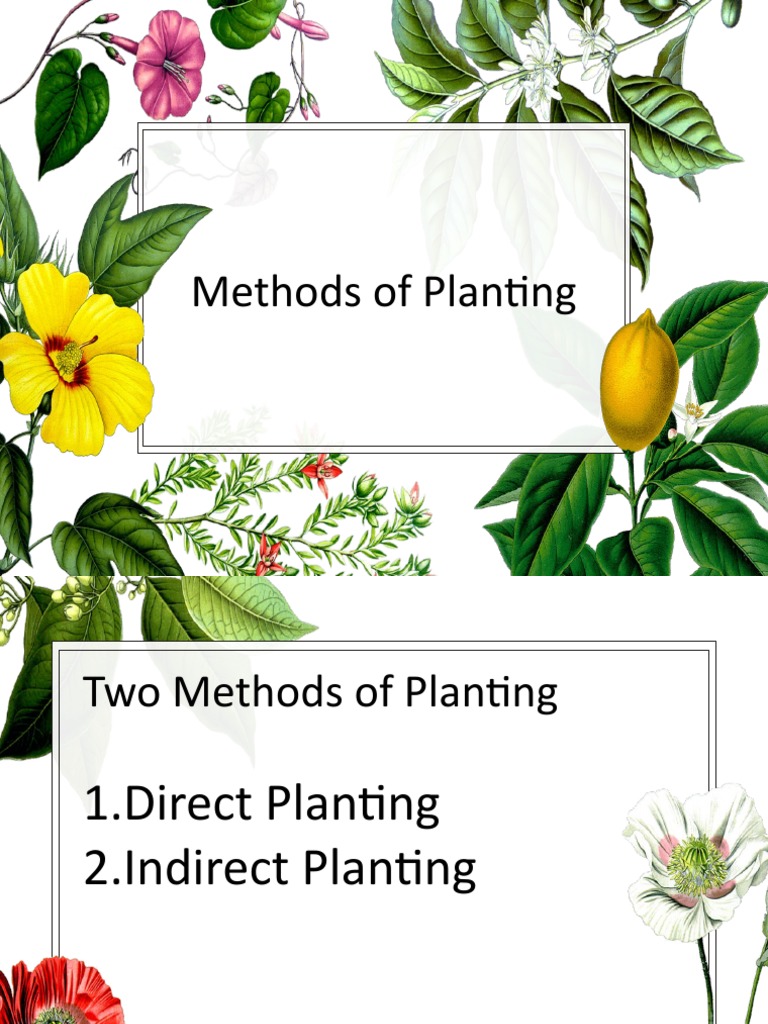 Methods of Planting 1 PDF