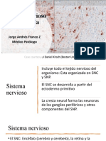 SNC Histología 2022