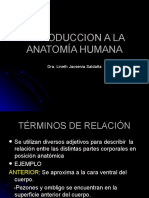 Introduccion A La Anatomía Humana-Ii Parte