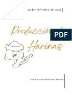 Actividad 8 - Producción de Harinas AAVM