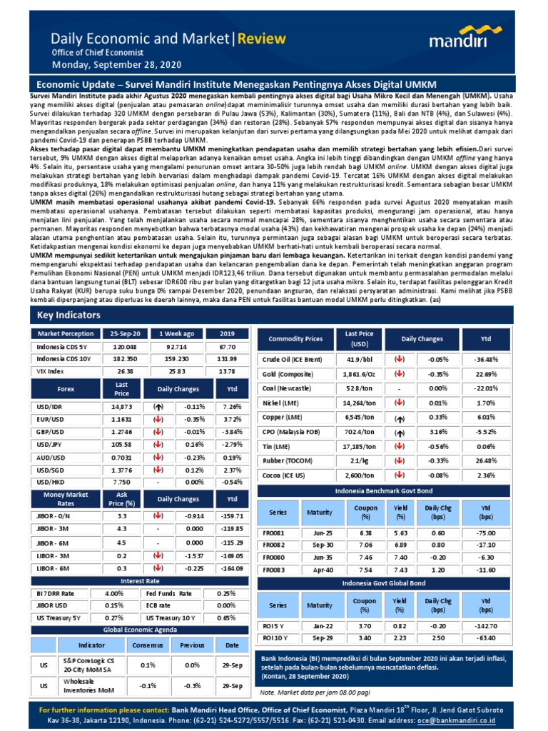 The Importance Of Digital Access For Msmes Pdf