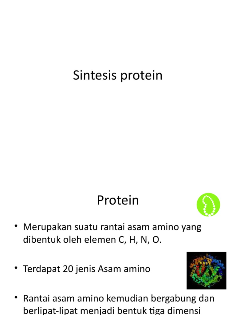 Proses Sintesis Protein dan DNA | PDF | Sains & Matematika
