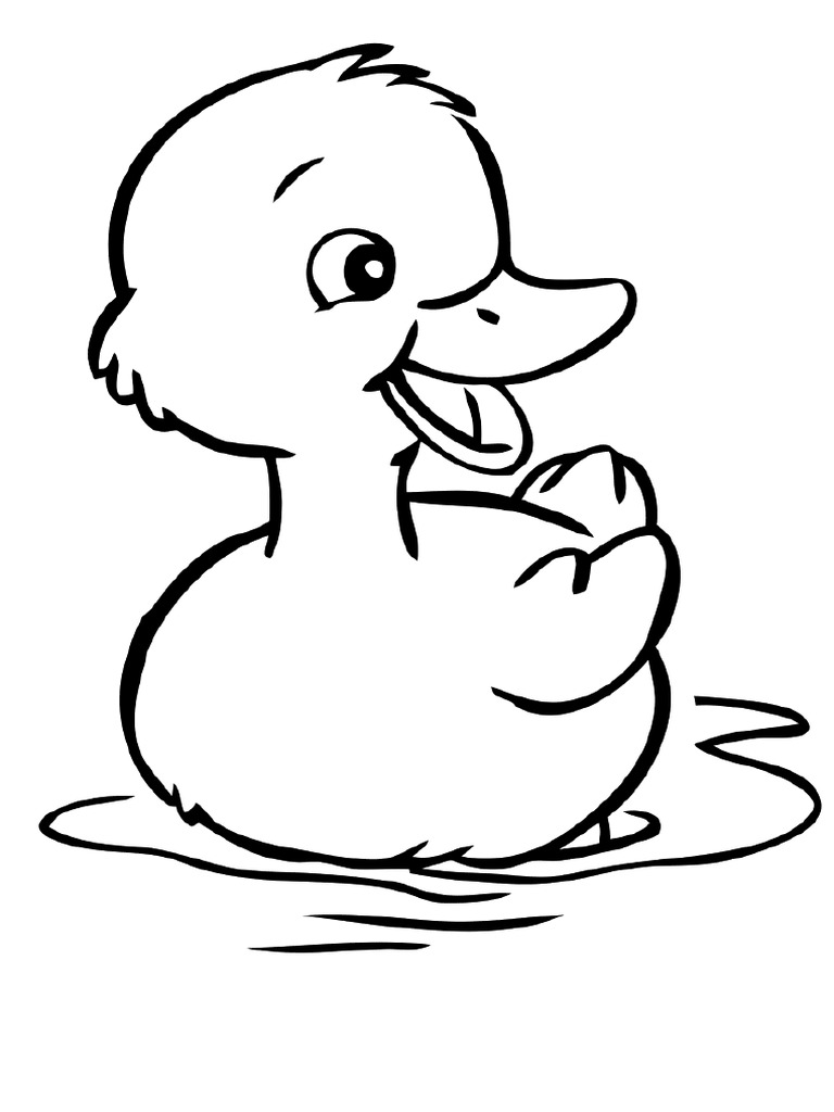 DUCK PDF