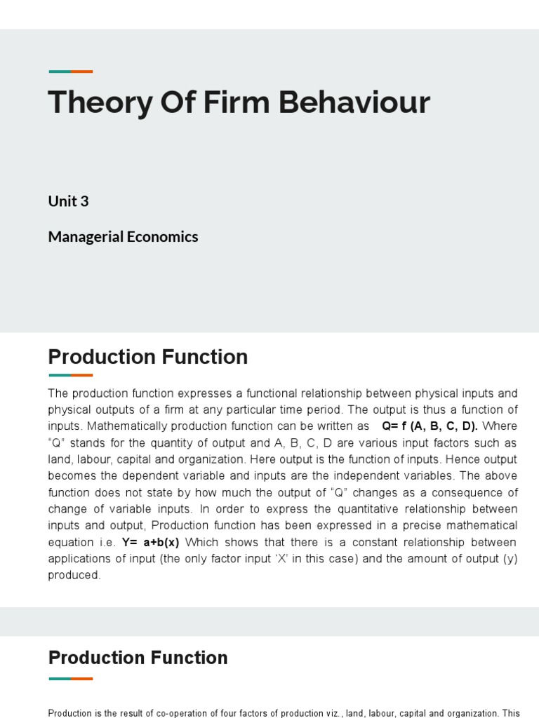 Understanding Firm Production Functions | PDF | Production Function ...