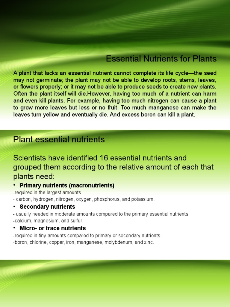 Essential Nutrients For Plants PDF