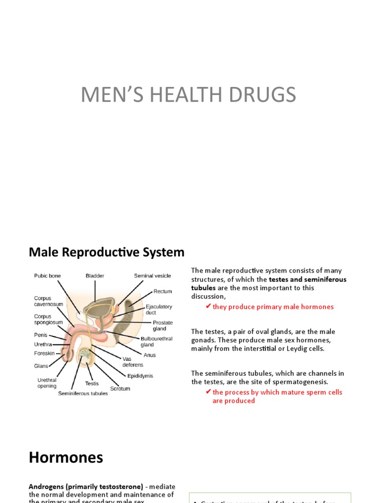 Men's Health Drugs PDF