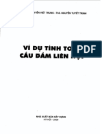 Vi du tinh Cau Dam Lien hop-2009