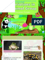 t2 S 206 Grouping Animals Powerpoint Ver 1