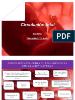 Circulación Fetal