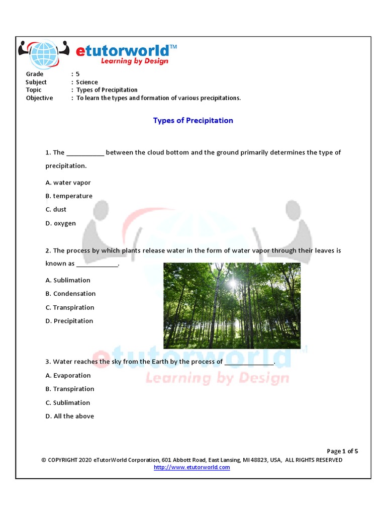 Types of Precipitation - G5 - WS | PDF | Precipitation | Ice
