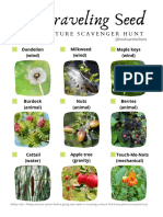 Traveling Seed Scavenger Hunt