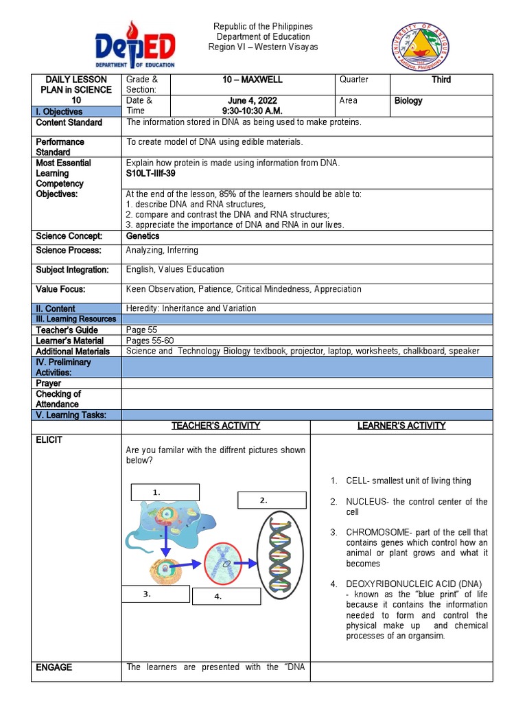 DNA and RNA Structures in Biology | PDF | Rna | Dna
