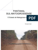 Pantanal Sul-Matogrossense